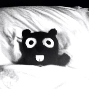 Meet your Posher, Neddy